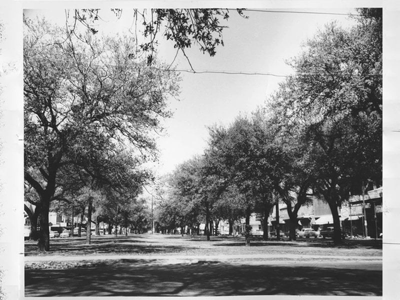 Louisiana Division / City Archives & Special Collections, the New Orleans Public Library via the Claiborne Avenue History Project